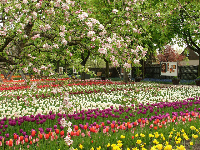As cores da primavera no Britzer Garten @Grun Berlin @visitberlin