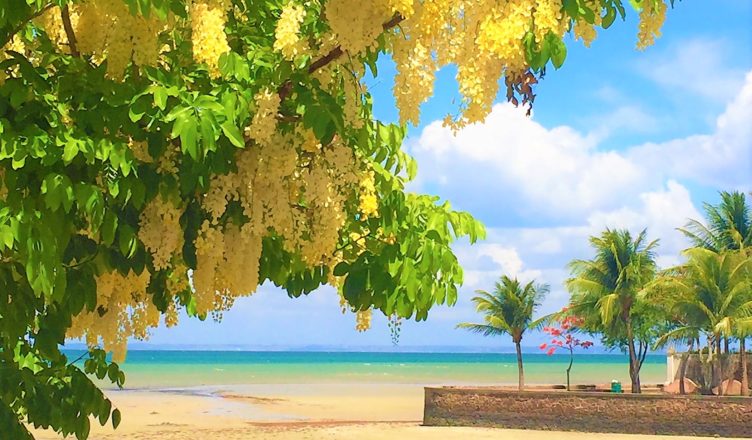 Ilha de Itaparica, paraíso inesquecível na Bahia - O melhor da viagem